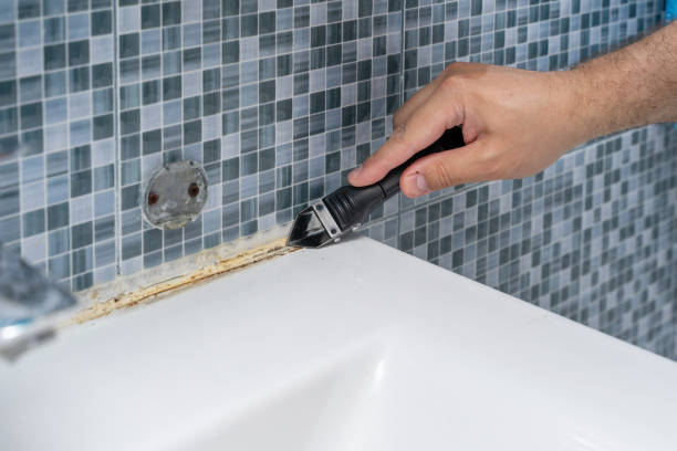 Best Same-Day Mold Removal  in Coal Valley, IL